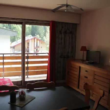 Appartement Modern Studio Facing South Just 300 M From The Ski Lifts Châtel